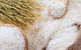 Banglades mua thêm gạo, Philippines dừng mua