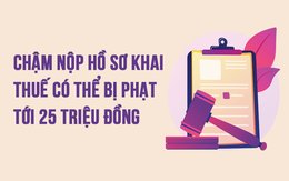 Infographic: Chậm nộp hồ sơ khai thuế có thể bị phạt tới 25 triệu đồng