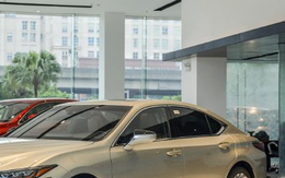 Lexus Việt Nam ra mắt Lexus ES 2021, khởi điểm từ 2,54 tỷ đồng