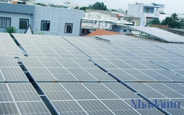 'Xử lý pin mặt trời đã qua sử dụng, Đà Nẵng cần có cơ quan quản lý'