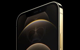 iPhone 13 lộ nguyên mẫu đầu tiên: Thiết kế không đổi so với iPhone 12, ít cải tiến