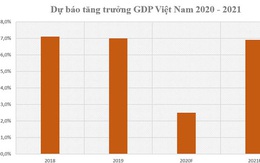 Ông Nguyễn Xuân Thành: GDP Việt Nam có thể tăng 6,9% năm 2021, phục hồi từ quý II