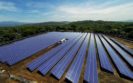Doanh nghiệp hoạt động được 2 tháng muốn làm 2 dự án điện mặt trời 1.250 MWp ở Đắk Lắk