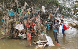 Trả tiền cho những chiếc túi nilon mắc lại cành cây sau lũ: Cách làm từ thiện đầy nhân văn ở Quảng Bình nhận nhiều lời khen từ cộng đồng mạng