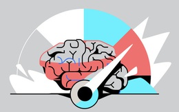 Vì sao có tới 5 thói quen chủ chốt có thể rèn luyện trí não để đạt được hiệu suất cao nhất? Cách lý giải từ chuyên gia thần kinh học ai cũng thấy chí lý