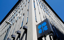 OPEC+ hoãn việc đàm phán tiếp đến 3/12 vì còn có bất đồng, giá dầu lao dốc