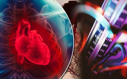 Các nhà khoa học chỉ ra: Huyết áp bình thường chưa chắc đã giúp bạn thoát khỏi nguy cơ bị bệnh tim mạch, tuyệt đối không nên chủ quan