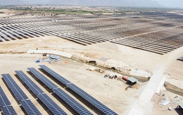 Hai dự án điện mặt trời tỷ đô xin cơ chế 'đặc thù'