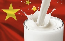 Uống sữa để yêu nước - Chiến dịch tăng chiều cao của người Trung Quốc và cái giá đắt đỏ đối với môi trường thế giới
