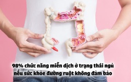 Chìa khóa sức khỏe rẻ đến không ngờ: Gần 80% chức năng miễn dịch của cơ thể tồn tại ở đây