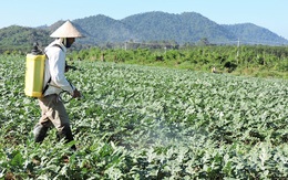 Nếu chỉ được chọn một yếu tố trong chuyển đổi số nông nghiệp Việt Nam, các chuyên gia sẽ chọn gì?