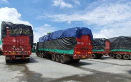 Tạm giữ 100 xe hàng vô chủ ở cửa khẩu Kim Thành (Lào Cai) sau hơn 4 tháng kiểm đếm