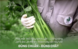 Bột cần tây Jan’s - Sản phẩm của tình yêu nông nghiệp Việt