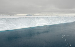 Rộng tới 4.200 km2, tảng băng trôi lớn nhất thế giới này sắp gây ra sự kiện 'đại thảm họa'
