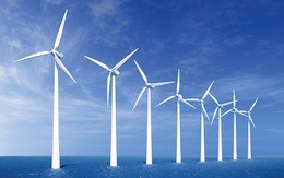 Hiệp hội Điện gió Toàn cầu hạ dự báo công suất lắp đặt điện gió mới tại Việt Nam