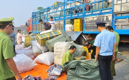 Ban Chỉ đạo 389 ban hành Kế hoạch cao điểm chống buôn lậu, hàng giả dịp Tết Tân Sửu