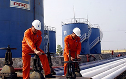 Vượt 13% chỉ tiêu lợi nhuận cả năm sau 9 tháng, Hóa dầu Petrolimex (PLC) chi tạm ứng cổ tức tỷ lệ 10%