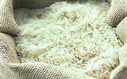 Bangladesh và Ấn Độ đàm phán thỏa thuận thương mại gạo song phương lần đầu tiên trong 3 năm