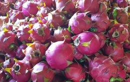 Nông sản Việt Nam “được lòng” thị trường Ấn Độ