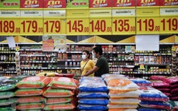Vì sao xuất khẩu gạo Thái Lan giảm kỷ lục trong 20 năm qua?