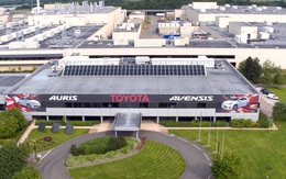 Toyota ngừng sản xuất tại Anh và Pháp; Vì Covid hay vì Anh "ly khai EU"?