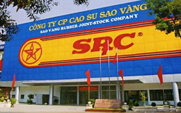 Cao su Sao Vàng ước lãi 2020 đạt 80 tỷ, tăng 55%