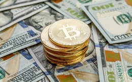 Năm 2020: USD mất 7% xuống thấp nhất hơn 2 năm, Bitcoin tăng 300% lên cao kỷ lục gần 29.000 USD