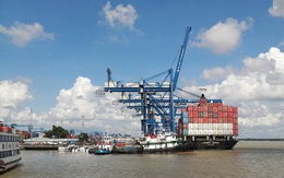Ngành cảng biển "thăng hoa" nhờ xuất nhập khẩu tích cực