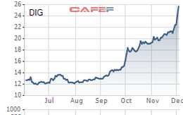 DIC Corp (DIG) "chốt lãi" thành công 8,26 triệu cổ phiếu quỹ với giá gấp đôi giá mua vào