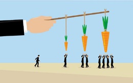 Cổ phiếu chứng khoán thăng hoa, VnIndex chốt phiên giảm nhẹ