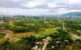 Thêm 2 dự án điện gió được Quảng Trị chấp thuận chủ trương đầu tư