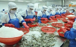 Bộ Nông nghiệp lưu ý DN: Trung Quốc tăng cường kiểm soát hàng thủy sản đông lạnh nhập khẩu
