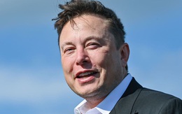 Elon Musk khuyên các CEO "bớt họp hành, bớt thuyết trình"