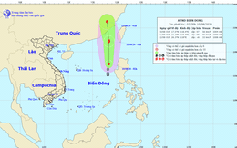 Áp thấp nhiệt đới có gió giật cấp 9, khả năng mạnh lên bão