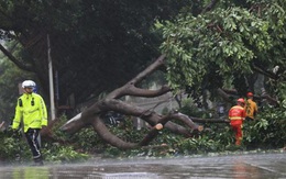 Bão Mekkhala đổ bộ tỉnh Phúc Kiến, Trung Quốc phát cảnh báo mưa bão kép