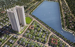 Phu Tai Residences – Nơi an cư lập nghiệp lý tưởng của vợ chồng trẻ tại Quy Nhơn