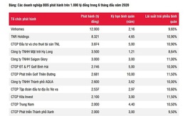 Ai đang 'làm mưa làm gió' trên thị trường trái phiếu doanh nghiệp?