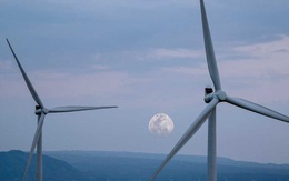 Tập đoàn lâu đời nhất Philippines sẽ đầu tư xây dựng trang trại điện gió 210 MW tại Việt Nam