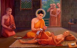 Sai đệ tử lấy nước tắm cho 1 người ốm, Đức Phật chỉ ra việc quan trọng cần phải làm để nhận được phúc báo