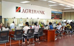 Lợi nhuận 6 tháng của Agribank giảm 13% so với cùng kỳ