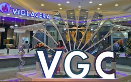 Gelex chào mua công khai 95 triệu cổ phần Viglacera với giá 17.700 đồng/cp