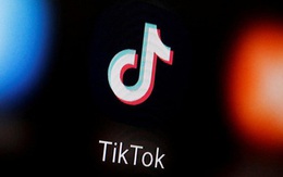 Reuters: VNG chuẩn bị khởi kiện TikTok, đòi bồi thường 221 tỷ đồng