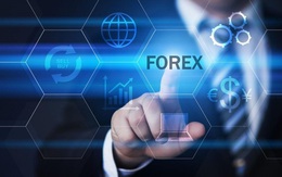 Môi giới đầu tư ngoại hối Forex: Rủi ro lớn cho người tham gia