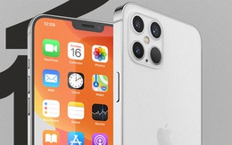 Lộ hình ảnh xác nhận Apple sẽ bán iPhone 12 mà không có củ sạc