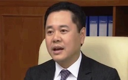 Ông Nguyễn Ngọc Cảnh làm Phó Chủ tịch Ủy ban Quản lý vốn nhà nước tại DN