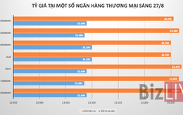 Tỷ giá bật lên trên thị trường tự do, tỷ giá liên ngân hàng lại xuyên “mốc chặn”