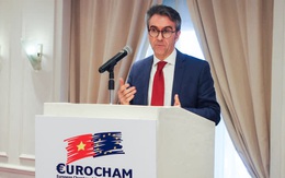 Đại sứ EU tại Việt Nam: Hiệp định thương mại tự do không phải là yếu tố quyết định cho việc đầu tư vào Việt Nam mà là hai nhân tố khác