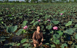 Báo Indonesia tôn vinh người phụ nữ đầu tiên mang tơ sen vào ngành dệt Việt Nam