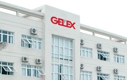 CEO Gelex Nguyễn Văn Tuấn đăng ký mua tiếp 20 triệu cổ phiếu