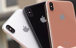iPhone giảm giá tới 5 triệu đồng, phiên bản "quốc dân" về mức bình dân nhất tháng 8